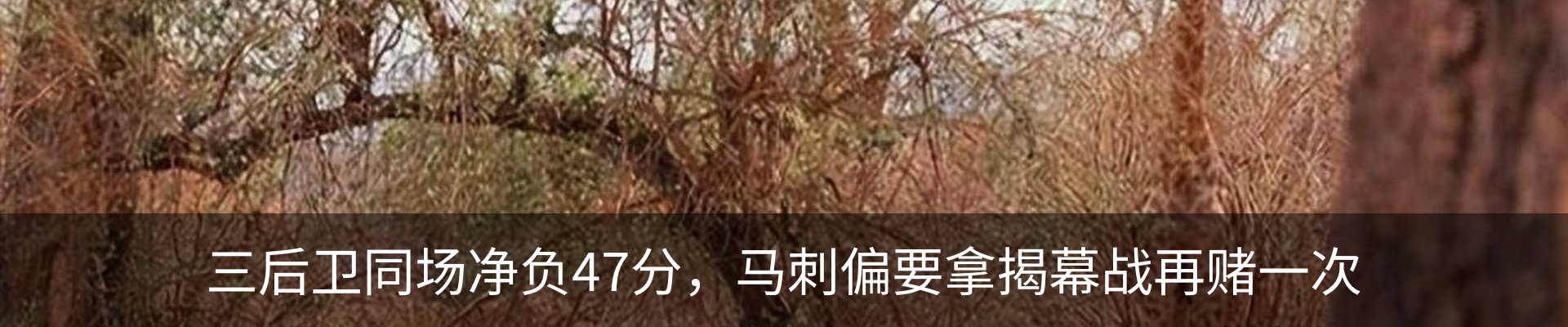 内页banner