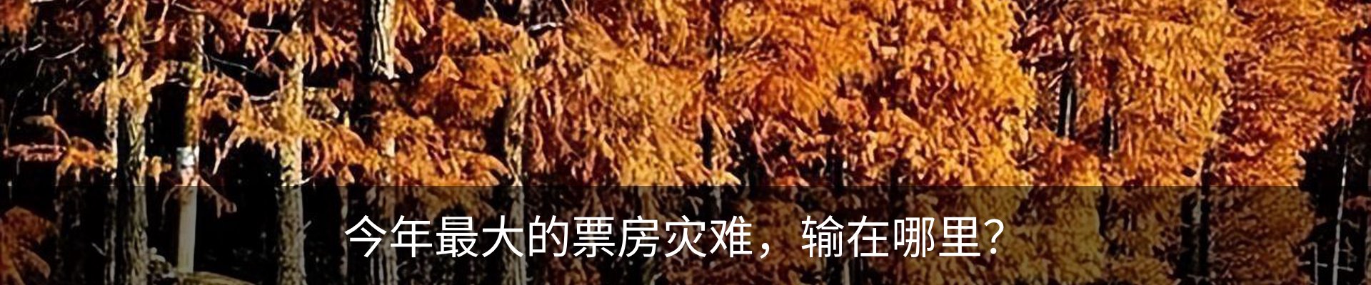 内页banner
