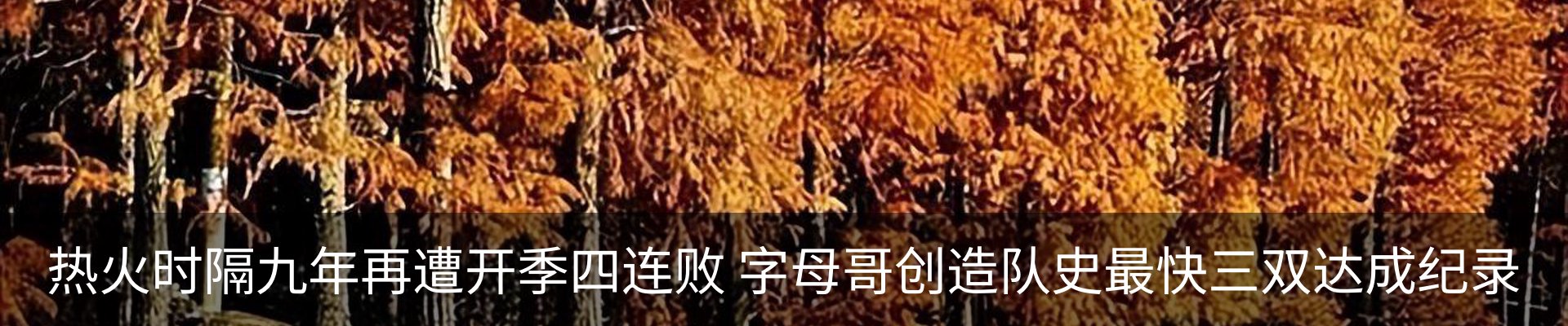 内页banner