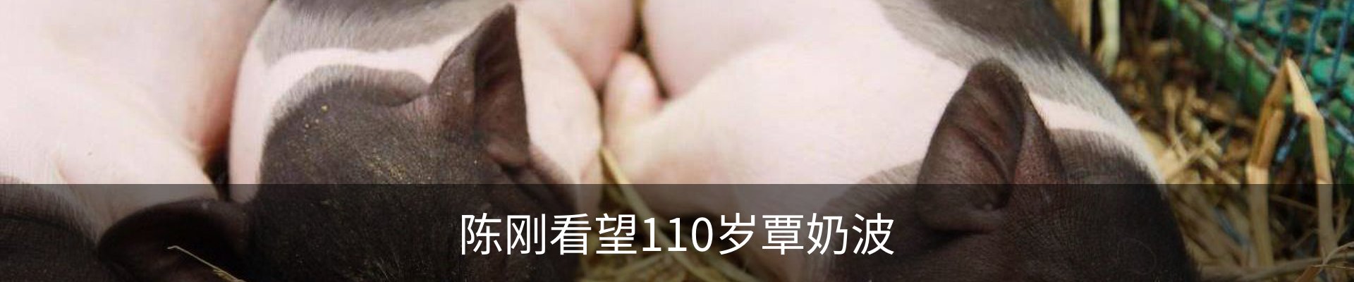 内页banner
