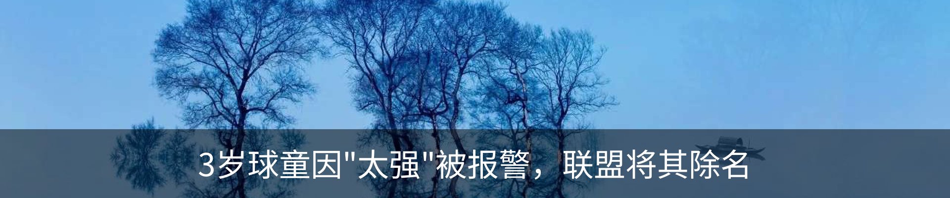 内页banner